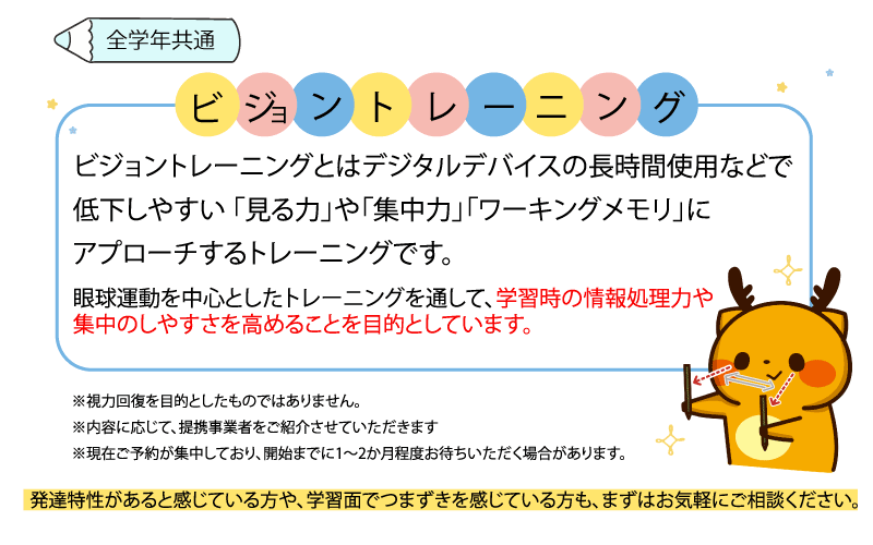 ビジョントレーニング